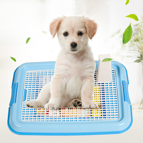 Puppy Pee Training Toilet