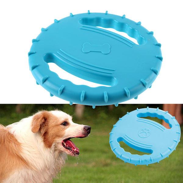 Frisbee Training Toys